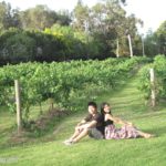 【澳洲旅遊】獵人谷 .::教你如何在獵人谷酒莊免費品葡萄酒::. (Hunter Valley)