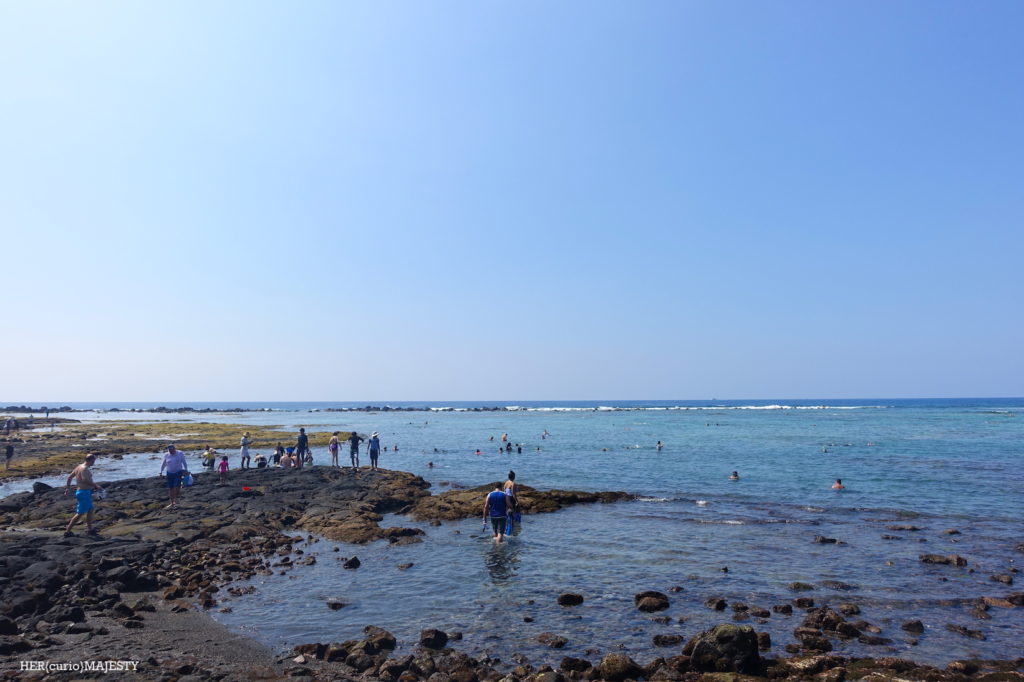 夏威夷大島浮潛