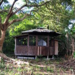 【夏威夷游记】大岛住宿之大自然的嬉皮小木屋 .::Nature’s Cottage Airbnb::.