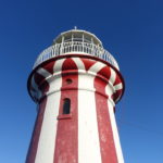 【雪梨遊記】屈臣氏灣・可愛燈塔和天體海灘