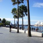 【雪梨遊記】Circular Quay 一見鍾情二見傾心，無可取代的環型碼頭