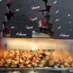 【雪梨食記】冒著生命危險只為了Hawa黎巴嫩風味碳烤全雞