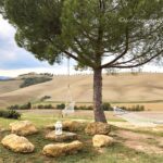 托斯卡尼住宿推薦 | 小清新田園農莊住宿「皮恩扎 Agriturismo Il Casalino」+ 「聖吉米納諾 Il Coppi」