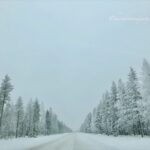 芬蘭聖誕老人村 ｜吃新鮮鮭魚、跨越北極圈、玩哈士奇雪橇